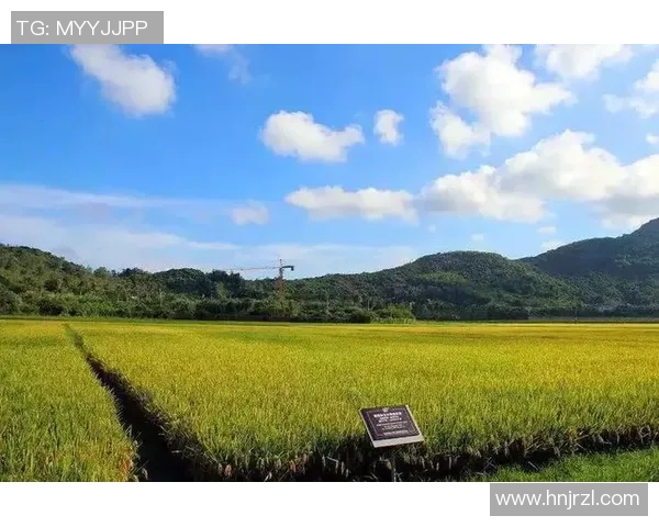 吕俊虎:在新时代背景下的科技创新与社会发展探索之路 吕俊虎:在新时代背景下的科技创新与社会发展探索之路