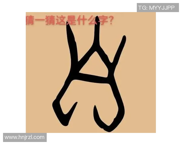 老道字谜的智慧与趣味探秘，揭开汉字背后的神秘面纱