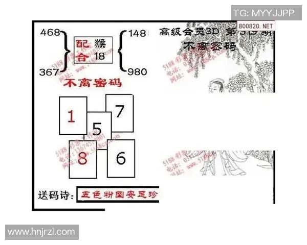 探索九宝图特一级寻码图的奥秘与应用价值解析